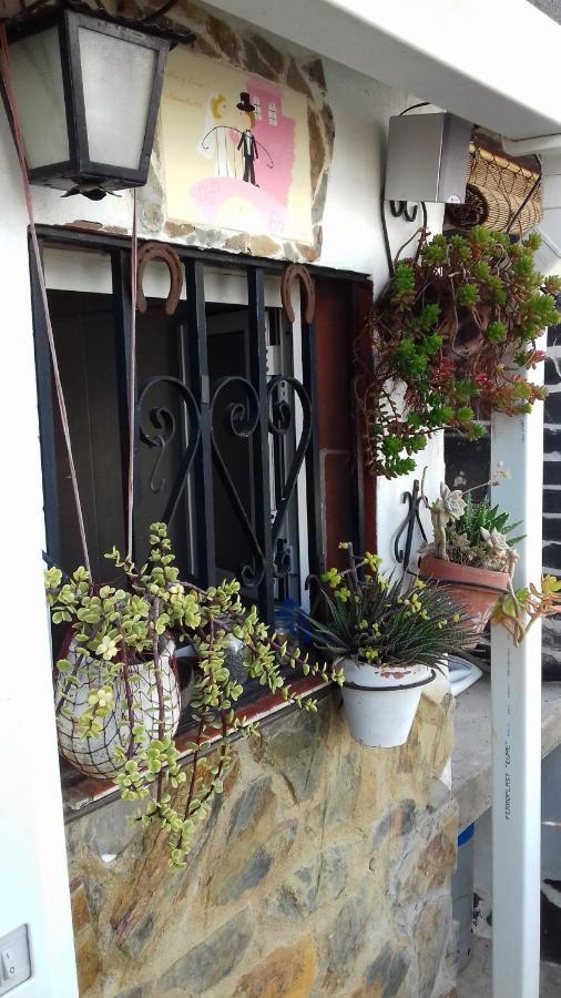 Apartamento Arbol De Vida - Cerca Estadio Cartuja Sevilla Buitenkant foto